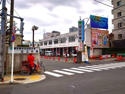 東京都中央卸売市場 足立市場