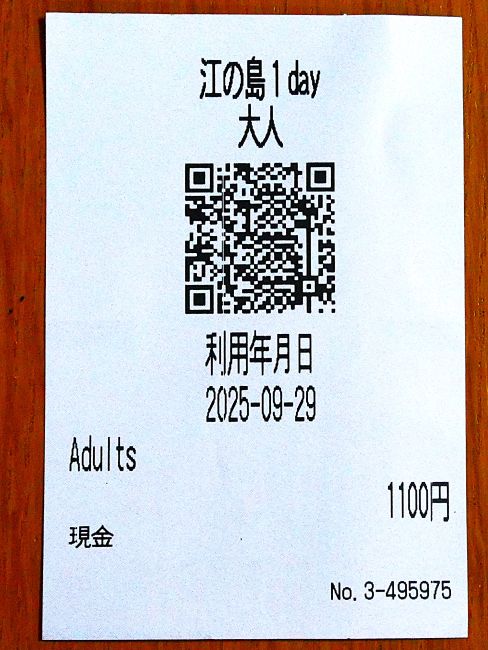 お得なセット券をゲット